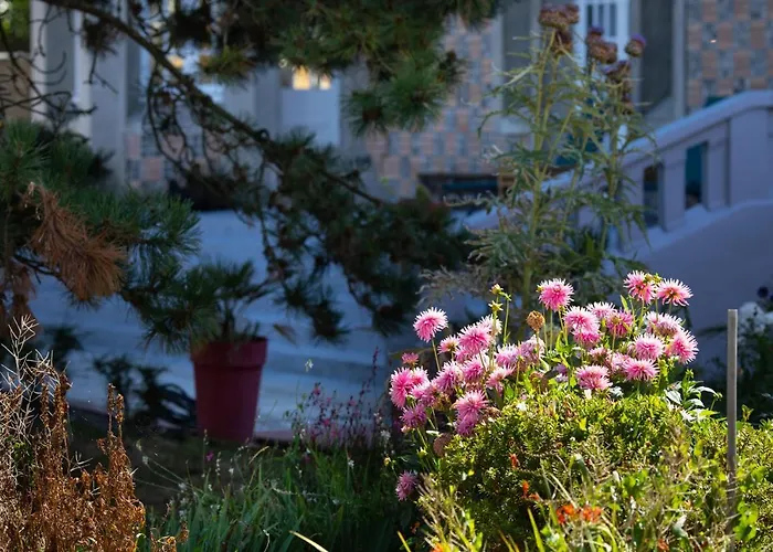 Chambre d'hôtes des pins