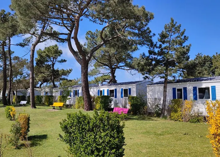 Camping Paradis Les Galets de la Molliere